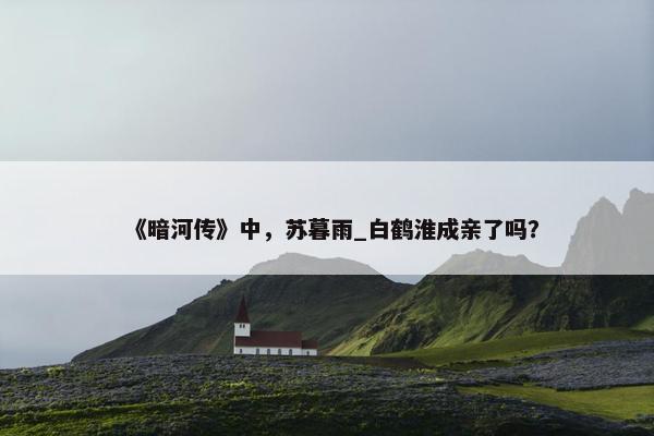 《暗河传》中，苏暮雨_白鹤淮成亲了吗？