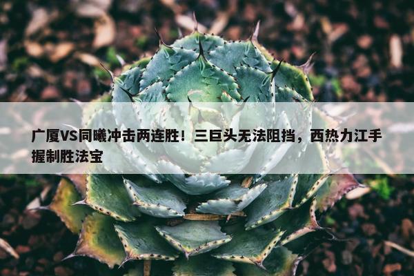 广厦VS同曦冲击两连胜！三巨头无法阻挡，西热力江手握制胜法宝