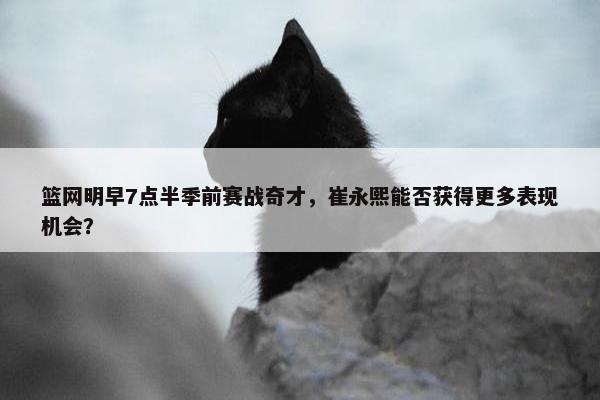 篮网明早7点半季前赛战奇才，崔永熙能否获得更多表现机会？