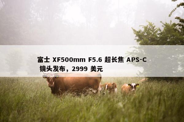 富士 XF500mm F5.6 超长焦 APS-C 镜头发布，2999 美元