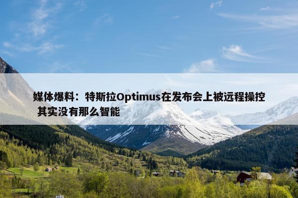 媒体爆料：特斯拉Optimus在发布会上被远程操控 其实没有那么智能