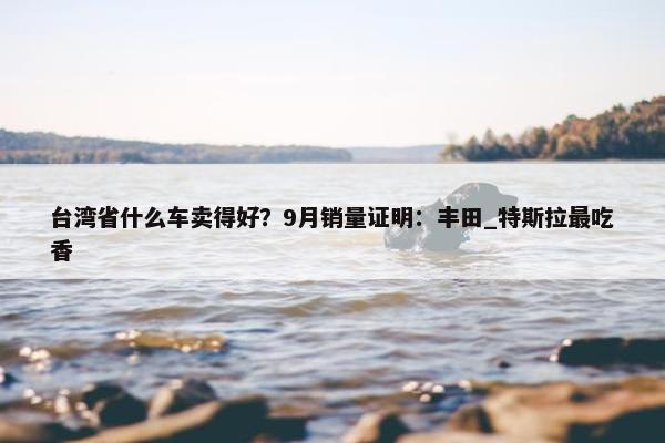 台湾省什么车卖得好？9月销量证明：丰田_特斯拉最吃香