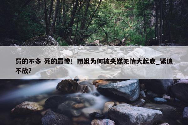 罚的不多 死的最惨！雨姐为何被央媒无情大起底_紧追不放？