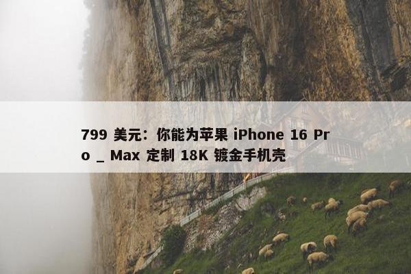 799 美元：你能为苹果 iPhone 16 Pro _ Max 定制 18K 镀金手机壳