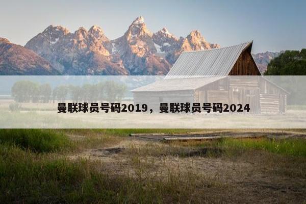 曼联球员号码2019，曼联球员号码2024