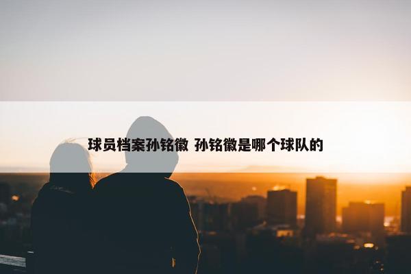 球员档案孙铭徽 孙铭徽是哪个球队的