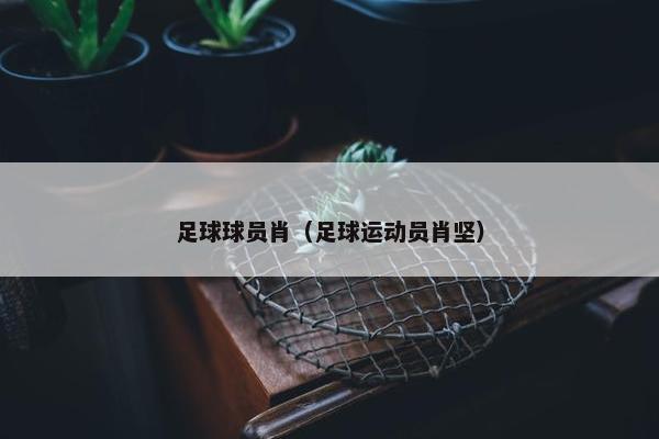 足球球员肖（足球运动员肖坚）