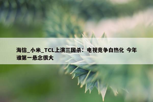 海信_小米_TCL上演三国杀：电视竞争白热化 今年谁第一悬念很大