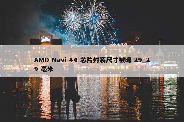 AMD Navi 44 芯片封装尺寸被曝 29_29 毫米