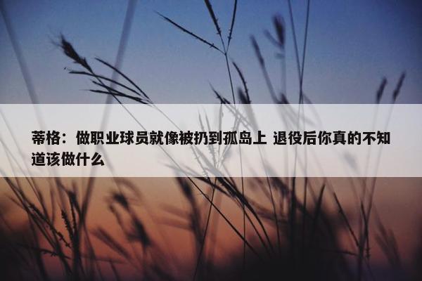 蒂格：做职业球员就像被扔到孤岛上 退役后你真的不知道该做什么