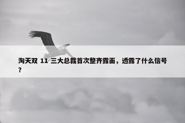 淘天双 11 三大总裁首次整齐露面，透露了什么信号？