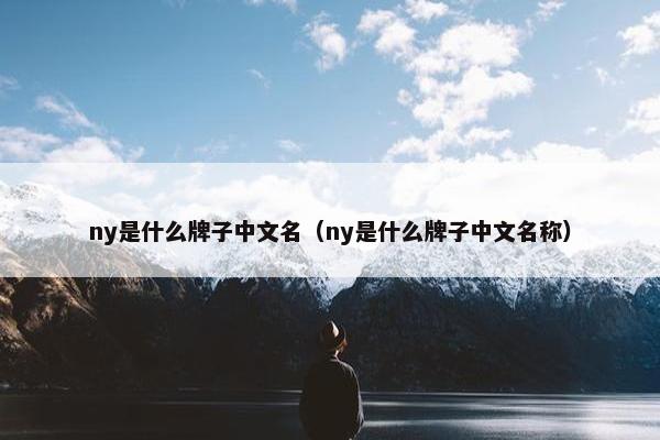 ny是什么牌子中文名（ny是什么牌子中文名称）