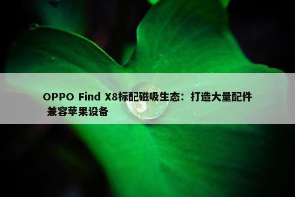 OPPO Find X8标配磁吸生态：打造大量配件 兼容苹果设备