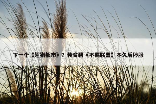 下一个《超猎都市》？传育碧《不羁联盟》不久后停服