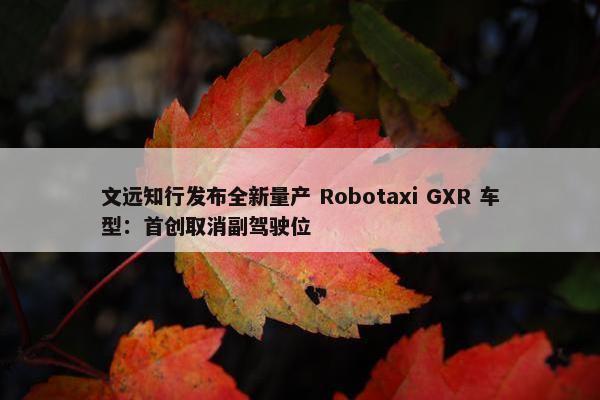 文远知行发布全新量产 Robotaxi GXR 车型：首创取消副驾驶位