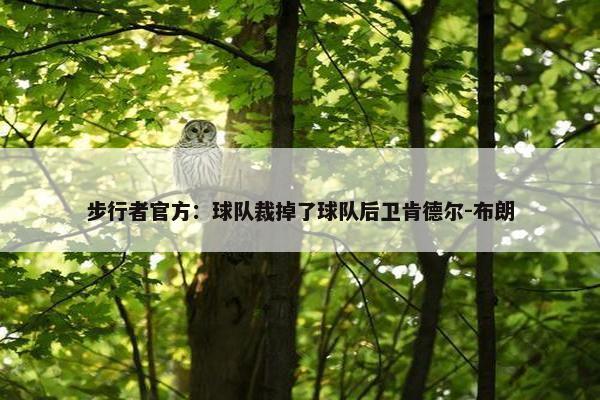 步行者官方：球队裁掉了球队后卫肯德尔-布朗