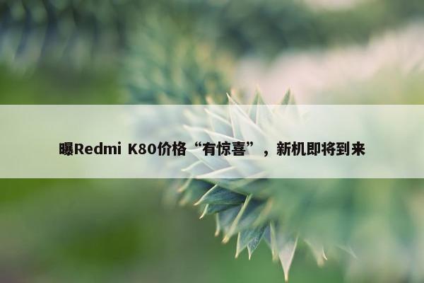 曝Redmi K80价格“有惊喜”，新机即将到来