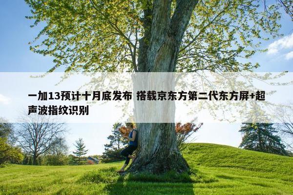 一加13预计十月底发布 搭载京东方第二代东方屏+超声波指纹识别