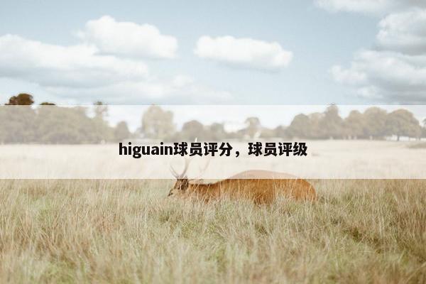 higuain球员评分，球员评级