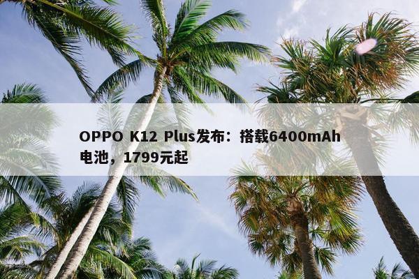 OPPO K12 Plus发布：搭载6400mAh电池，1799元起