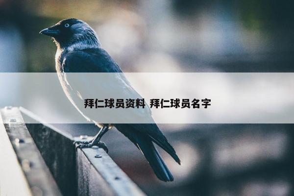 拜仁球员资料 拜仁球员名字