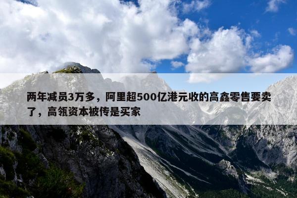 两年减员3万多，阿里超500亿港元收的高鑫零售要卖了，高瓴资本被传是买家