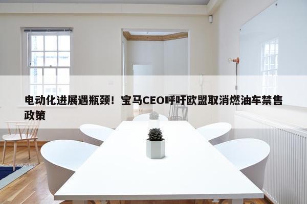 电动化进展遇瓶颈！宝马CEO呼吁欧盟取消燃油车禁售政策