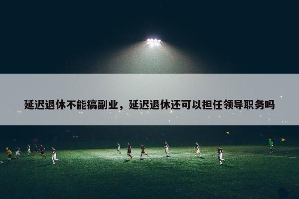 延迟退休不能搞副业，延迟退休还可以担任领导职务吗