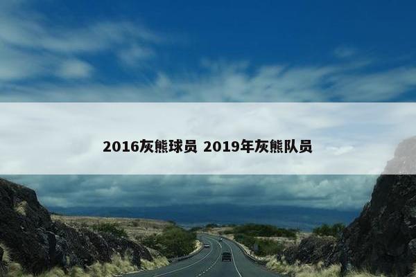 2016灰熊球员 2019年灰熊队员