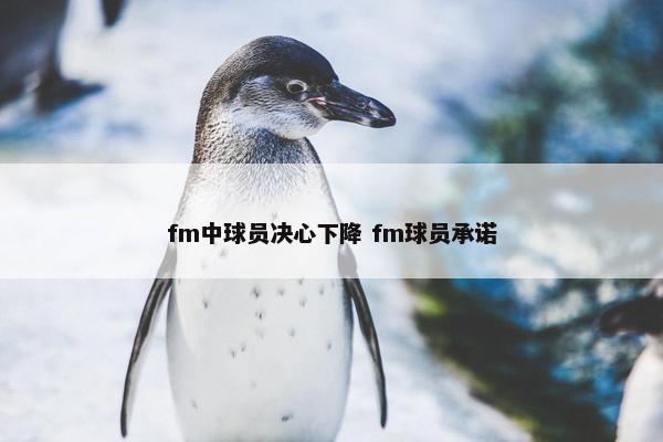 fm中球员决心下降 fm球员承诺