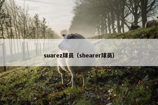 suarez球员（shearer球员）