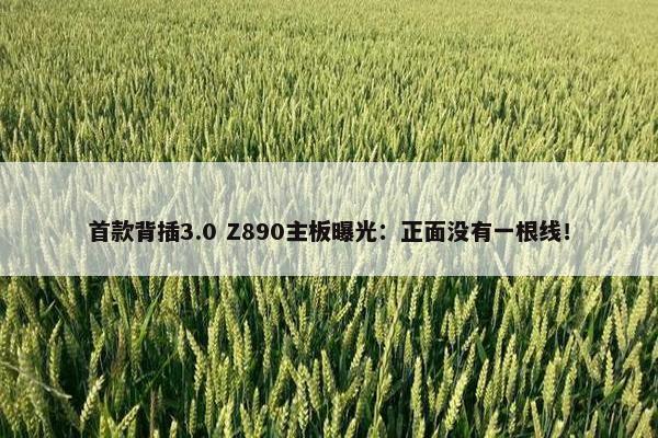 首款背插3.0 Z890主板曝光：正面没有一根线！