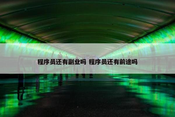 程序员还有副业吗 程序员还有前途吗