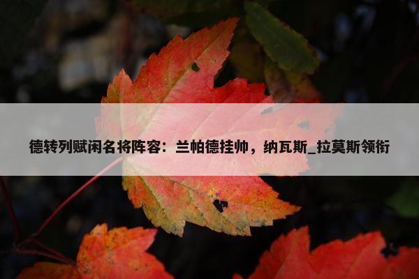 德转列赋闲名将阵容：兰帕德挂帅，纳瓦斯_拉莫斯领衔