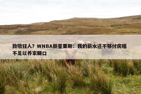 致敬狂人？WNBA新星里斯：我的薪水还不够付房租 不足以养家糊口