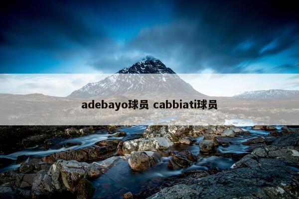 adebayo球员 cabbiati球员