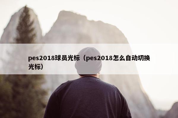 pes2018球员光标（pes2018怎么自动切换光标）