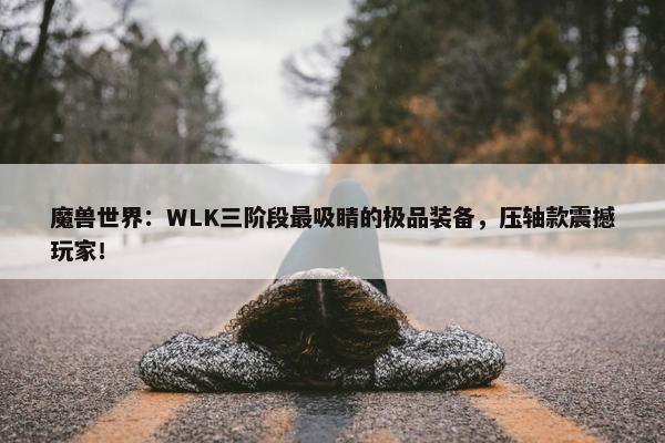 魔兽世界：WLK三阶段最吸睛的极品装备，压轴款震撼玩家！