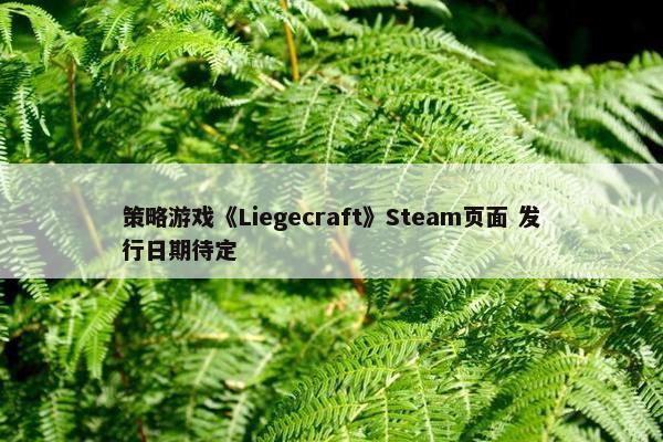 策略游戏《Liegecraft》Steam页面 发行日期待定