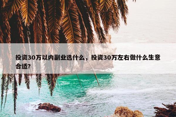 投资30万以内副业选什么，投资30万左右做什么生意合适?