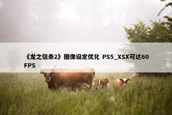 《龙之信条2》图像设定优化 PS5_XSX可达60FPS