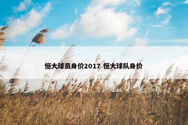 恒大球员身价2017 恒大球队身价