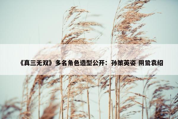 《真三无双》多名角色造型公开：孙策英姿 阴鸷袁绍