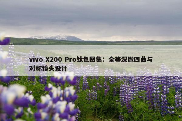 vivo X200 Pro钛色图集：全等深微四曲与对称镜头设计