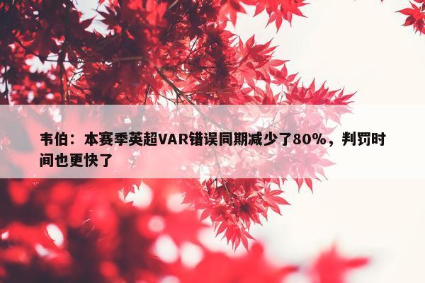 韦伯：本赛季英超VAR错误同期减少了80％，判罚时间也更快了