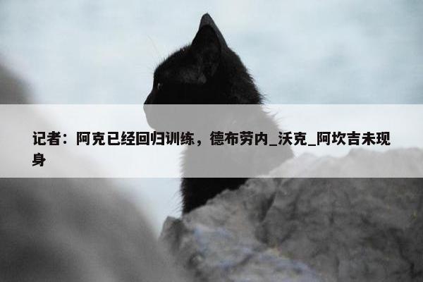 记者：阿克已经回归训练，德布劳内_沃克_阿坎吉未现身