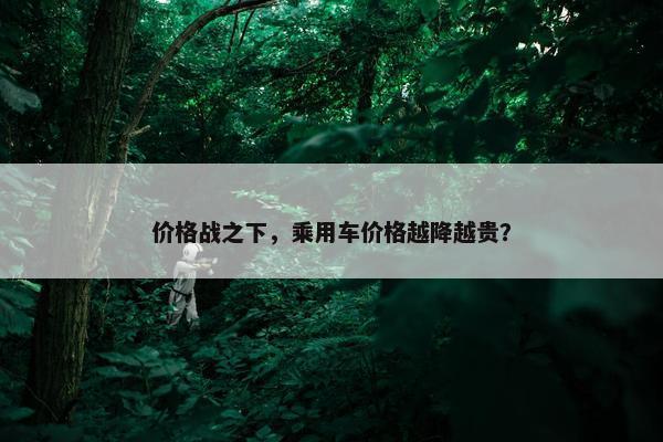 价格战之下，乘用车价格越降越贵？