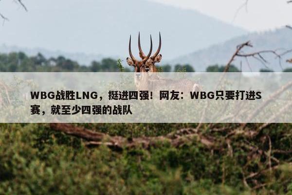 WBG战胜LNG，挺进四强！网友：WBG只要打进S赛，就至少四强的战队