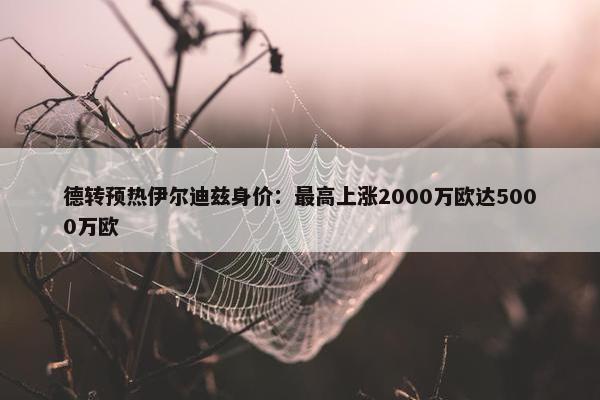 德转预热伊尔迪兹身价：最高上涨2000万欧达5000万欧