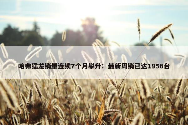 哈弗猛龙销量连续7个月攀升：最新周销已达1956台